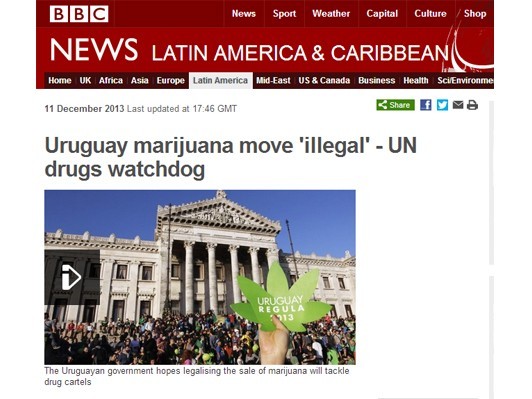 世界初、ウルグアイで大麻の栽培・購入合法化