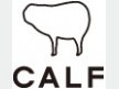 CALF