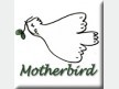 motherbird